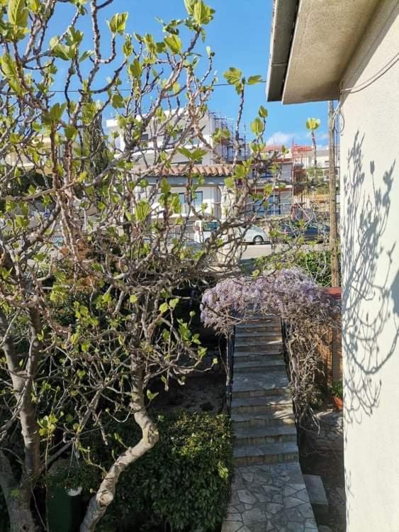 Guest House Sunce Novi Vinodolski Bagian luar foto