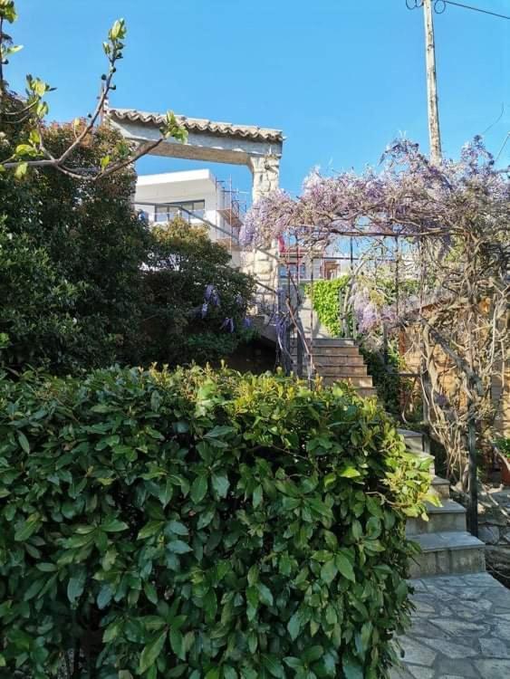 Guest House Sunce Novi Vinodolski Bagian luar foto